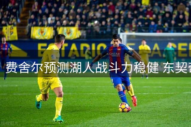 费舍尔预测湖人战斗力稳健 东契奇赛季出场或达70场